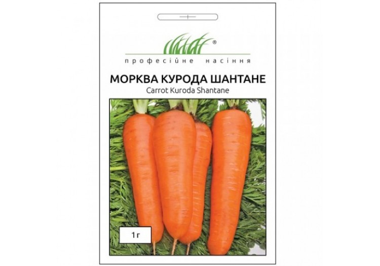 Морковь Курода Шантане 1 г - 018225
